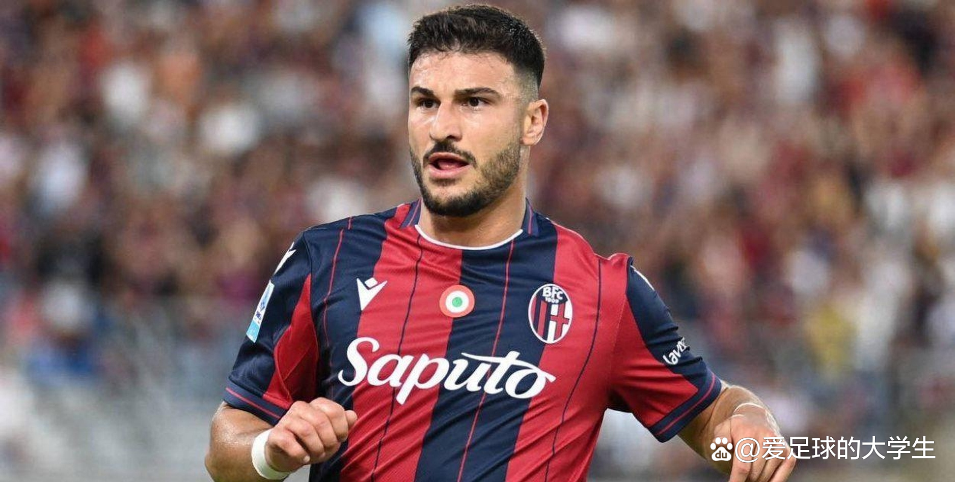 博洛尼亚主场击败斯帕尔，继续保持上升势头的简单介绍